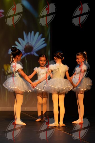 SHOW_00371.jpg